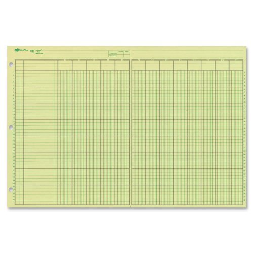 NATIONAL Analysis Pad, 13 Columns, Green Paper, 11 x 16.375″, 50 Sheets (45613)