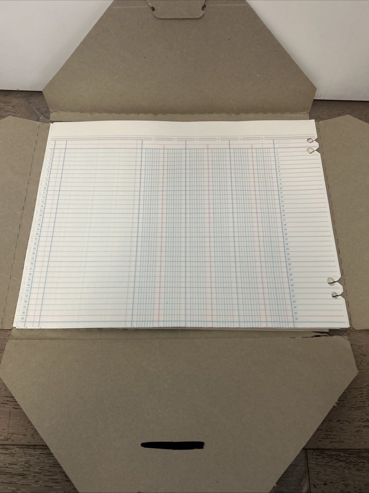 Wilson Jones Accounting Sheets 6 Columnar 11×14 35 Unused Loose Sheets