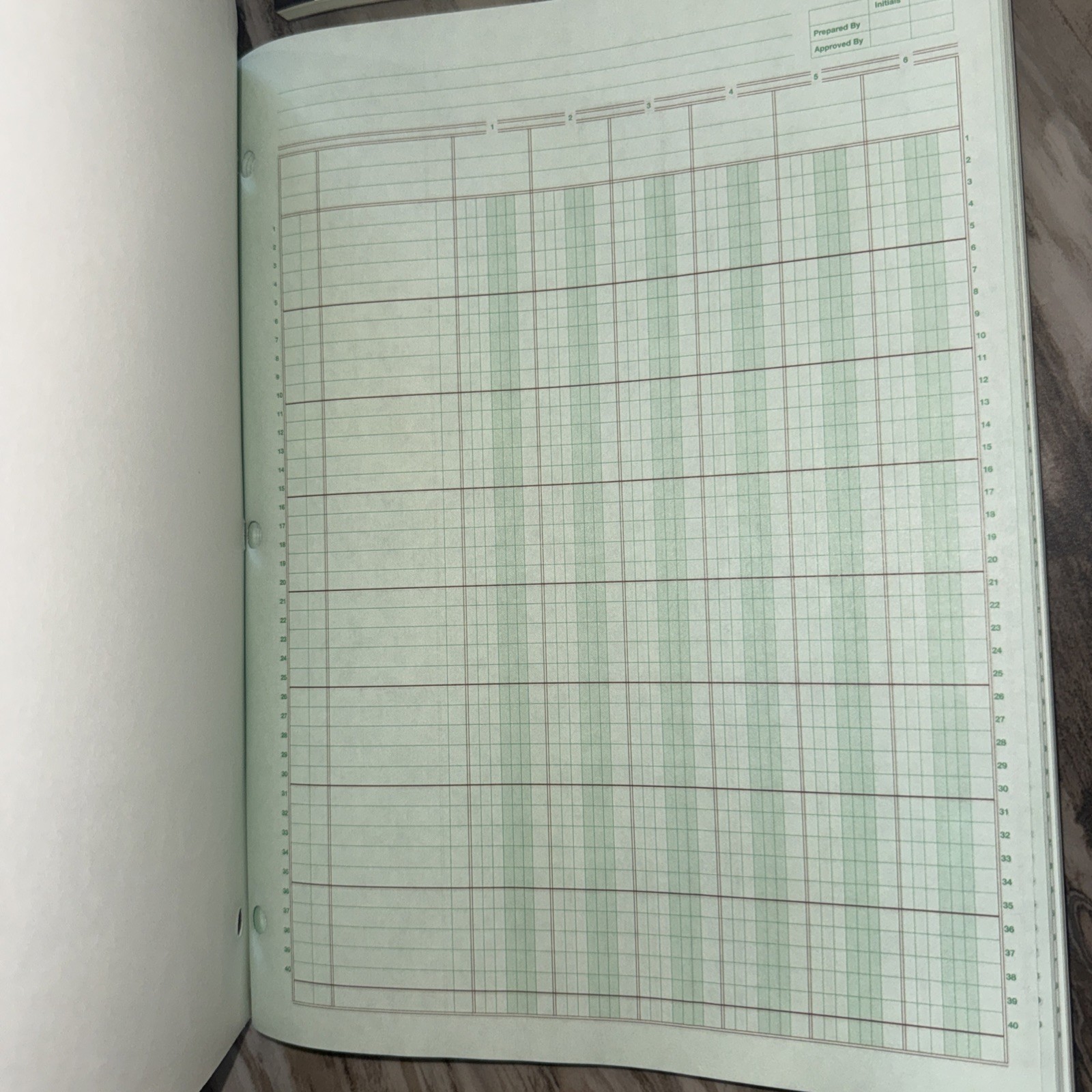 200 Sheets Columnar Analysis Pad 4 & 6 Column Accounting Paper 8.5X11 Ledger