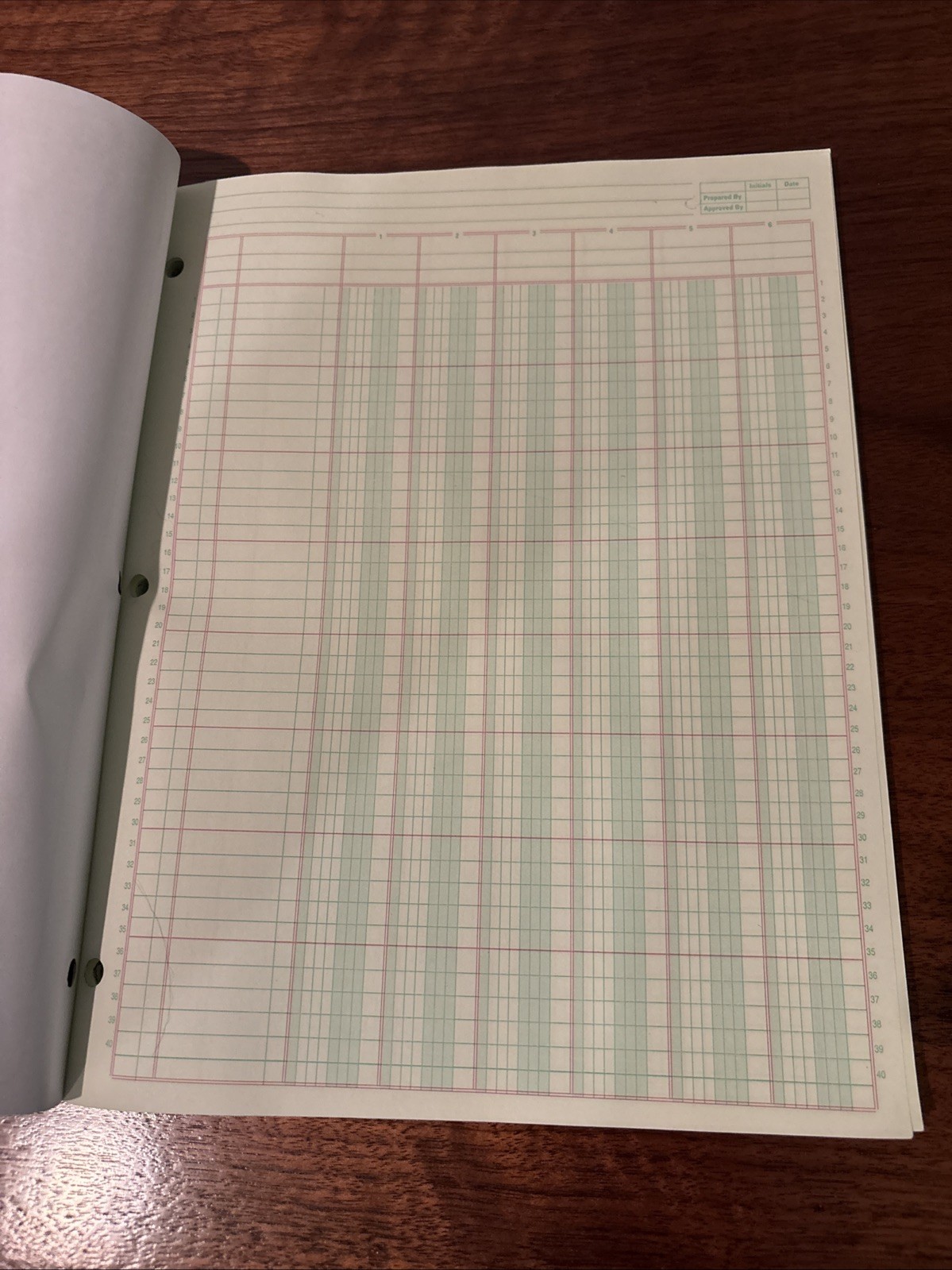 Adams 6 Column Columnar Analysis Pad 50 Double Sided Sheets Green Tint 3 Hole…