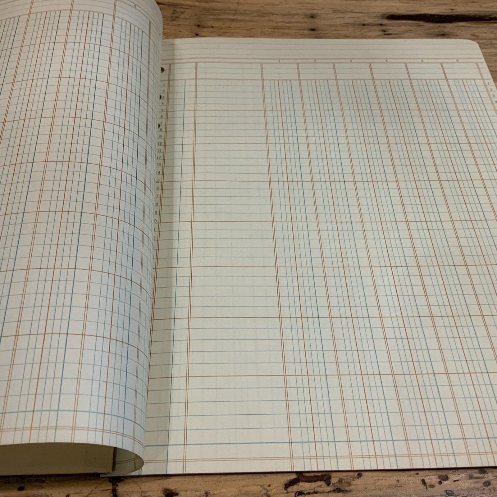 Lot 2 Vintage Columnar Pads Wilson Jones Boorum Pease 6 Column USA Accounting