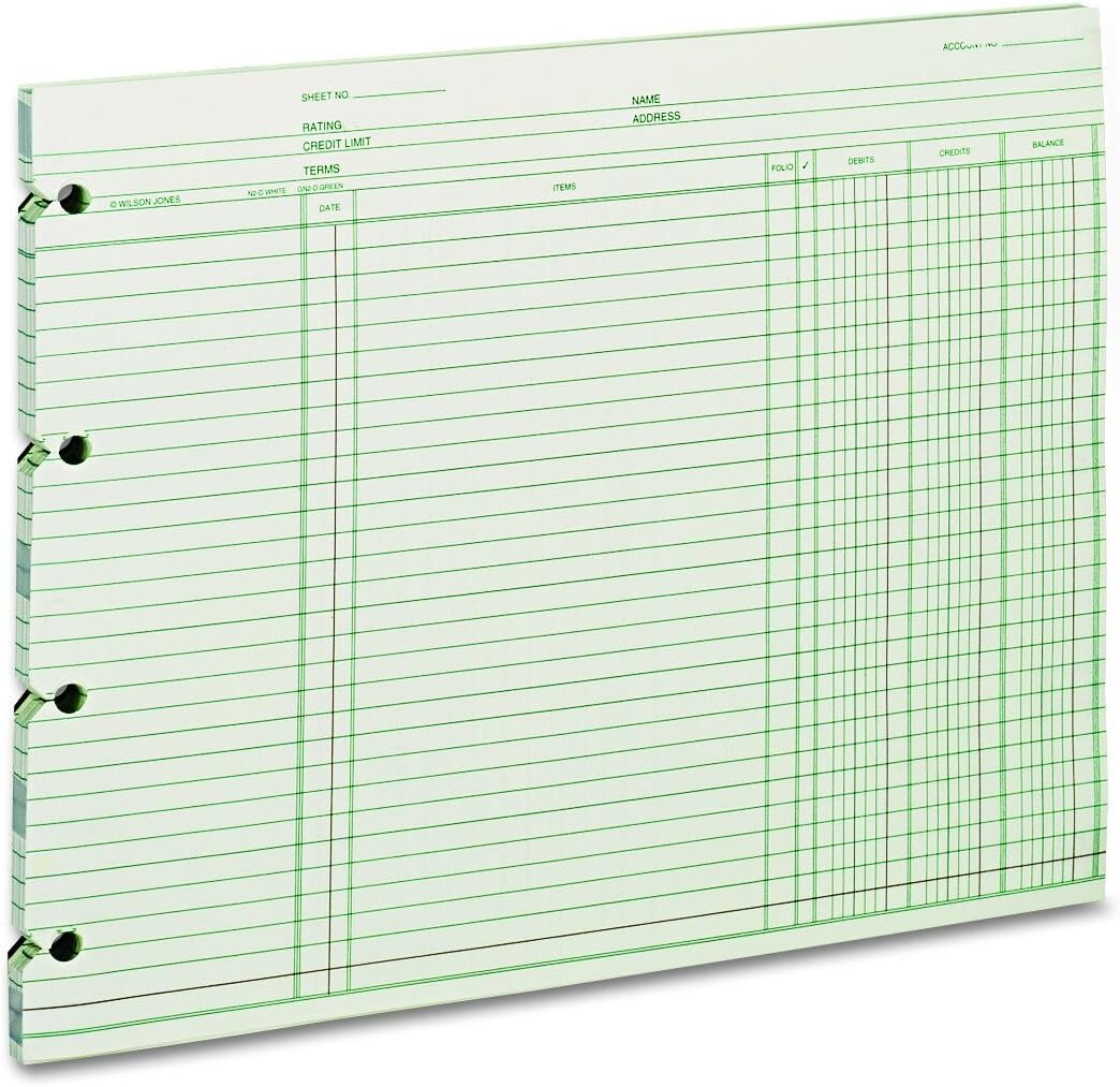 Wilson Jones GN2D Accounting, 9-1/4 x 11-7/8 (Pack of 100 Loose Sheets)