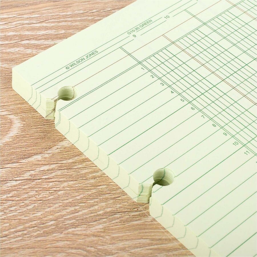 Acco G1020_40 Columnar Ledger Sheets 100 Pack Green 9.25″x11.88″