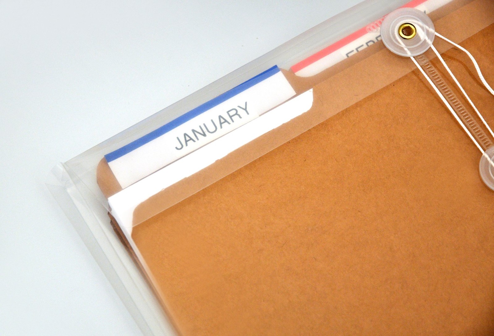 Lion String-A-Long Clear Poly Envelopes with Gusset, Letter,