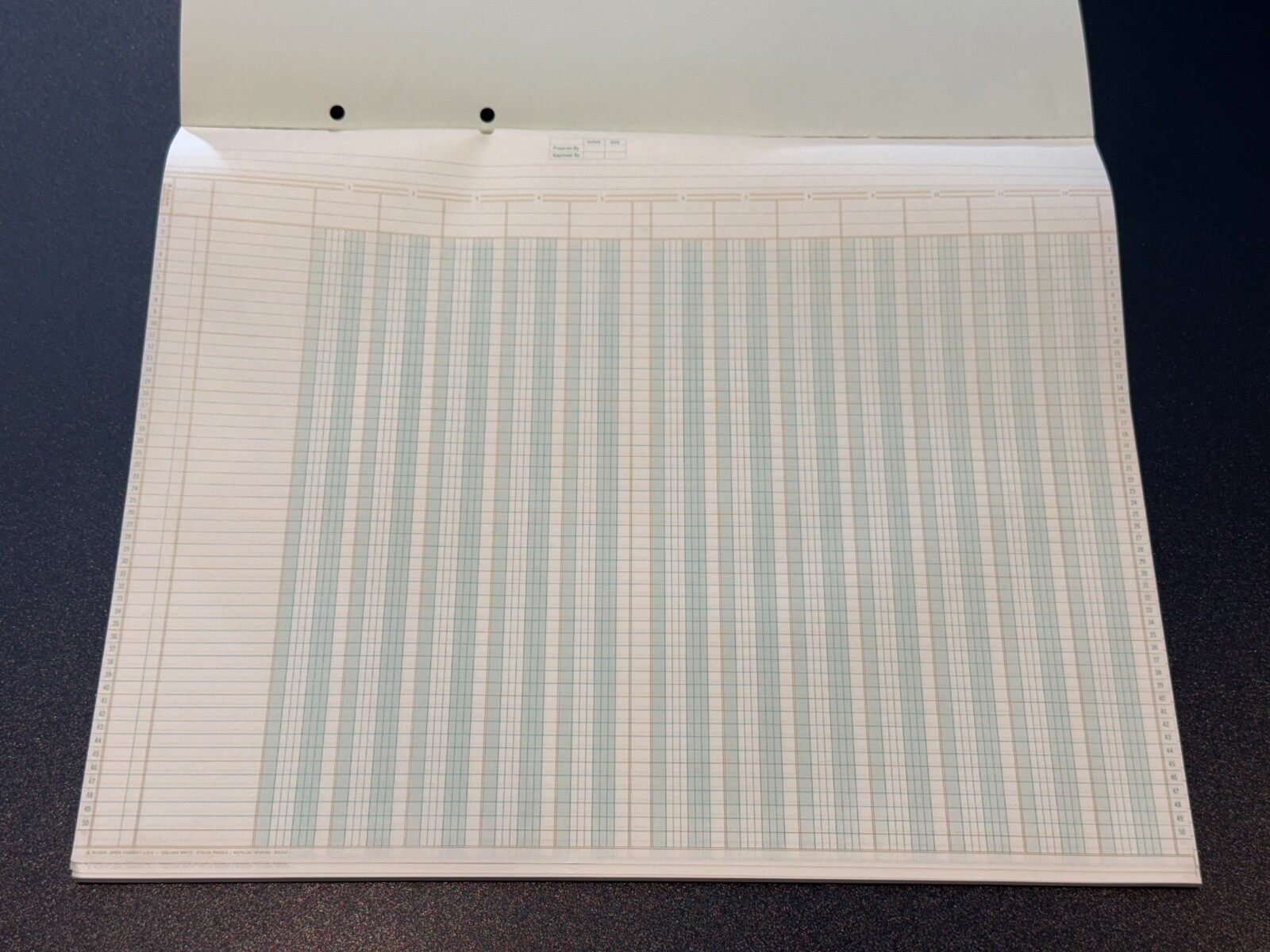 Wilson Jones Column Write Columnar Pad Worksheet, 14″ X 17”, 12 Columns, G7612A