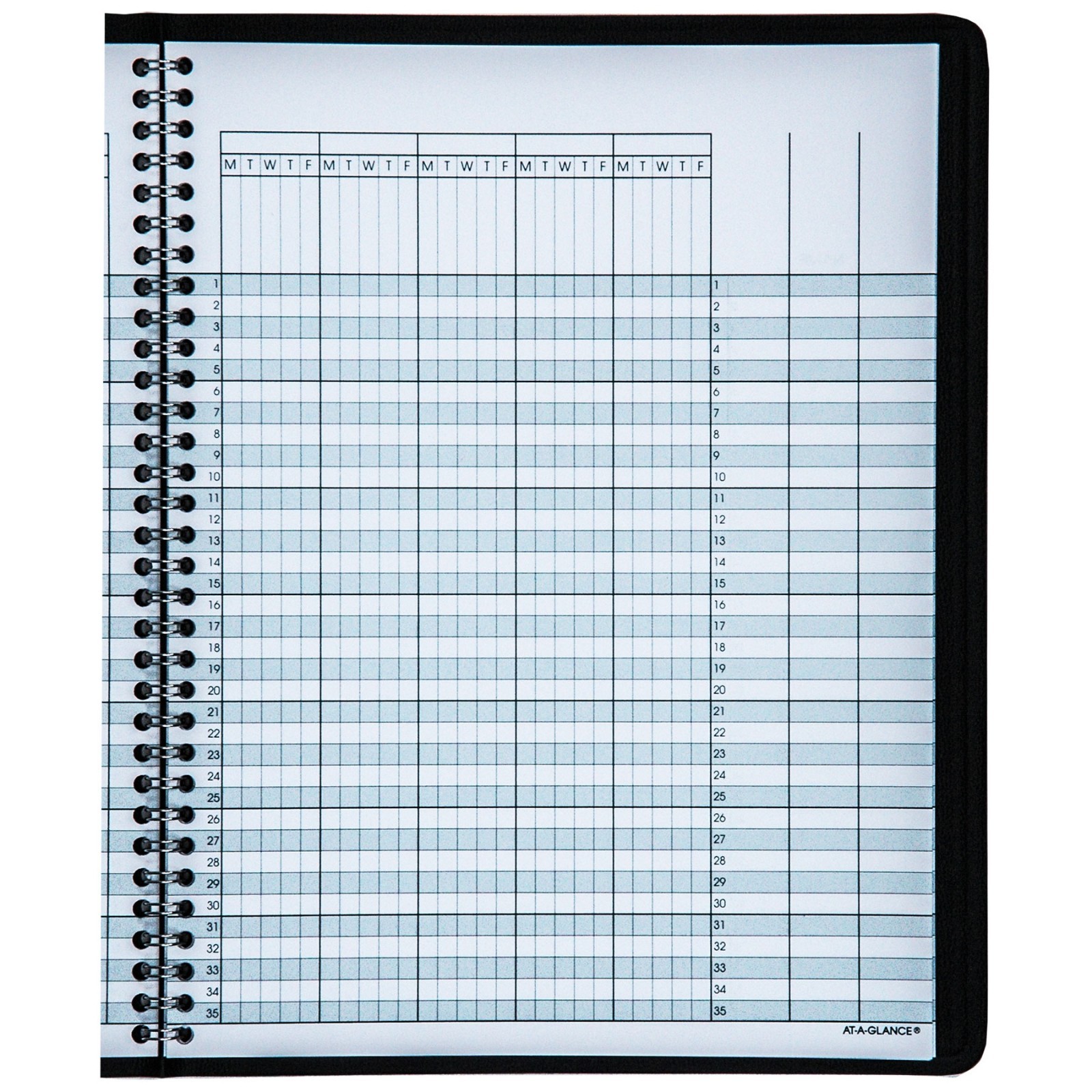 At-A-Glance 80-150, 80-150-05 Class Record Book, 8-1/4 x 10-7/8″