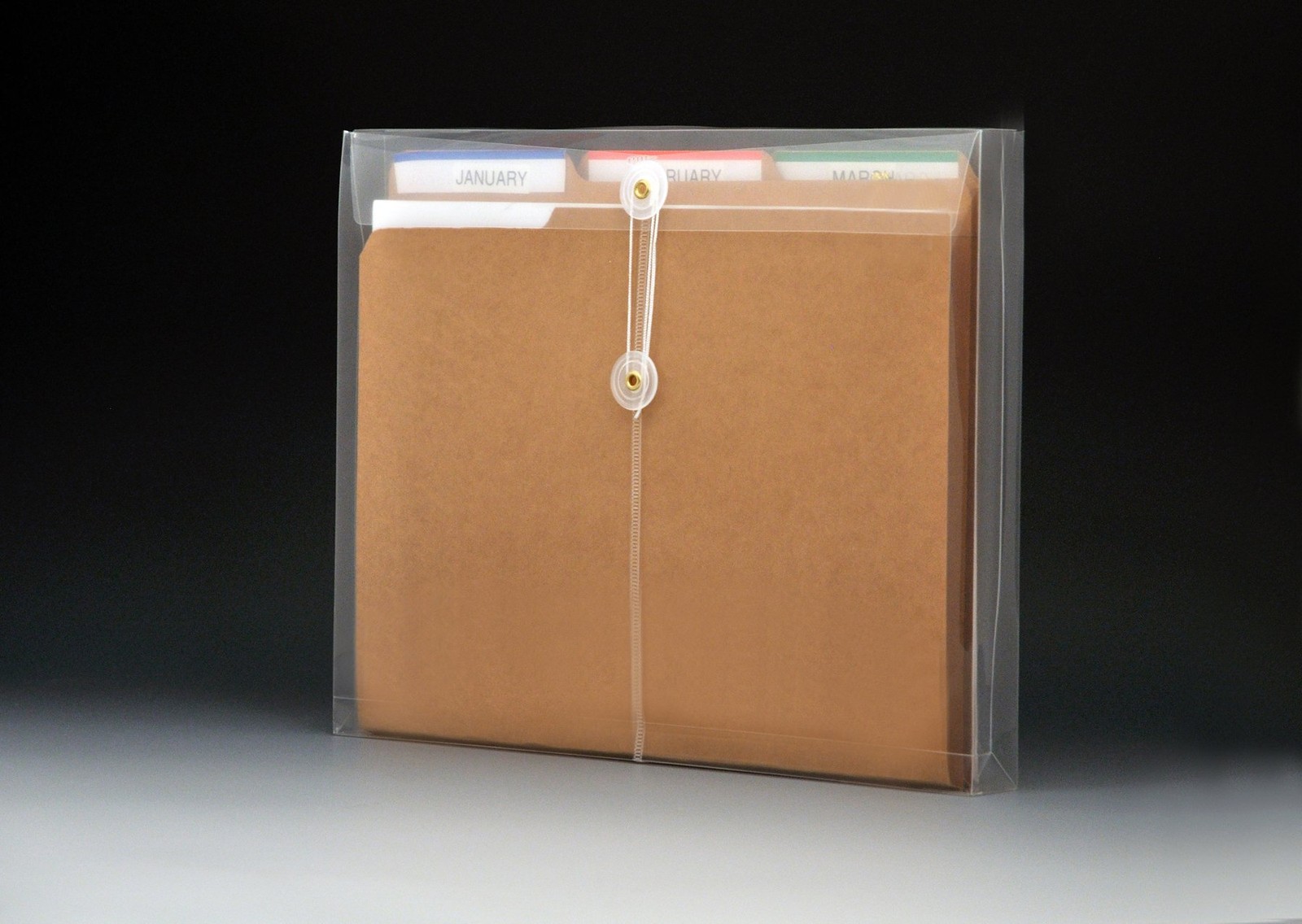 Lion String-A-Long Clear Poly Envelopes with Gusset, Letter,