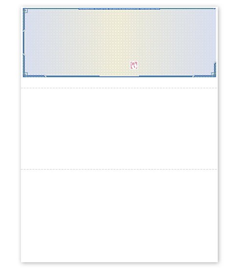 High Security Top Blank Voucher Checks by Deluxe / Nebs / SLT831 Free Shipping!