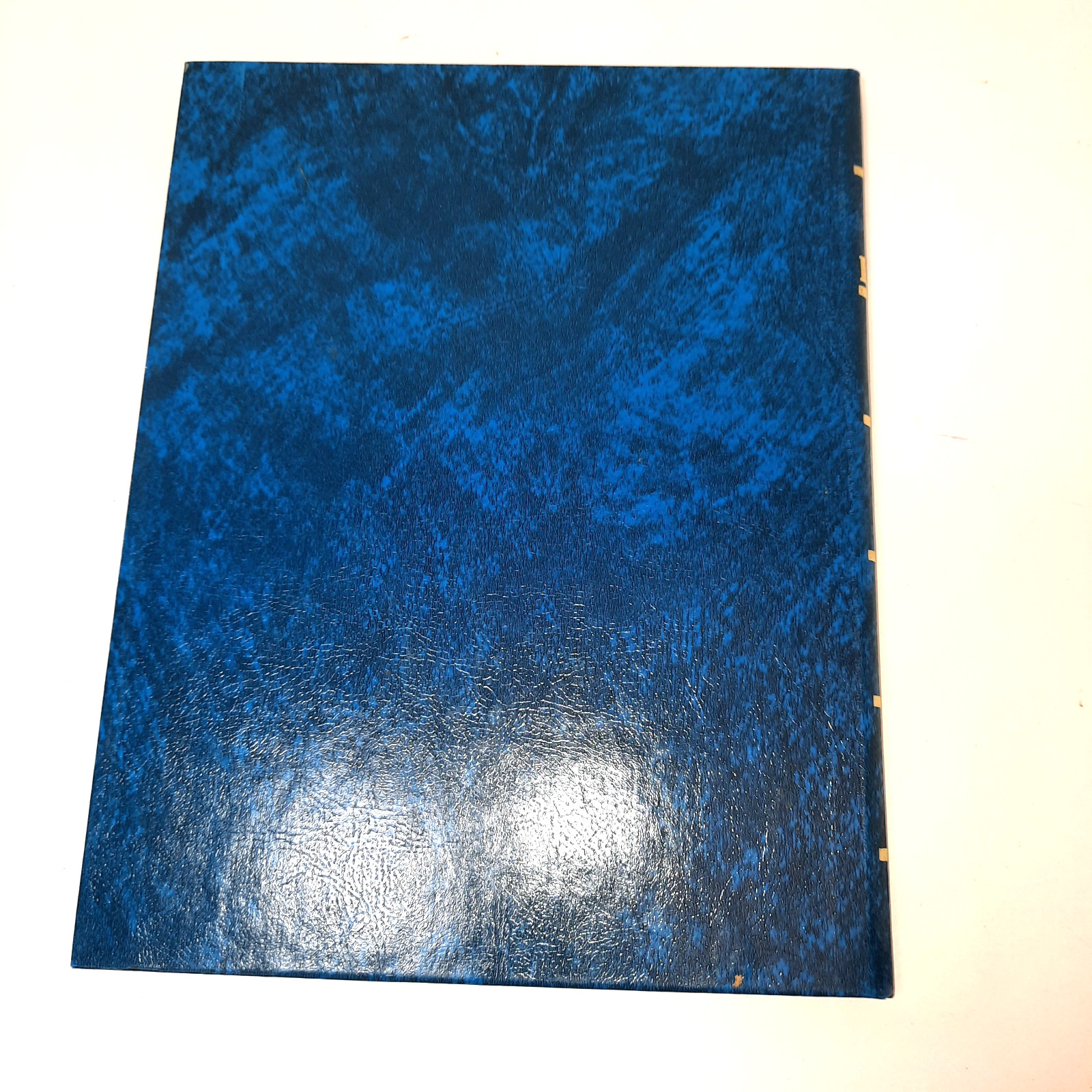 Vintage Blue Marbled 12 Columns Columnar Book Standard Boorum & Pease Company