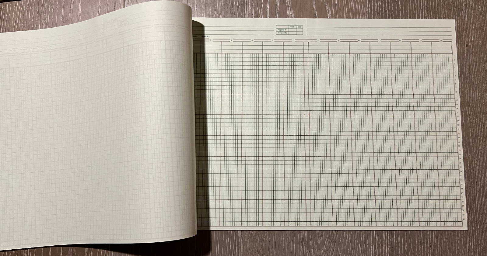 Wilson Jones Columnar Pad-14 Columns,50 Sheets-11×16 3/8 in,-#G7214-New