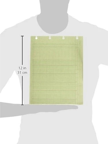 Wilson Jones G1010 Accounting Sheets, 10 Column, 9-1/4 x 11-7/8, Green