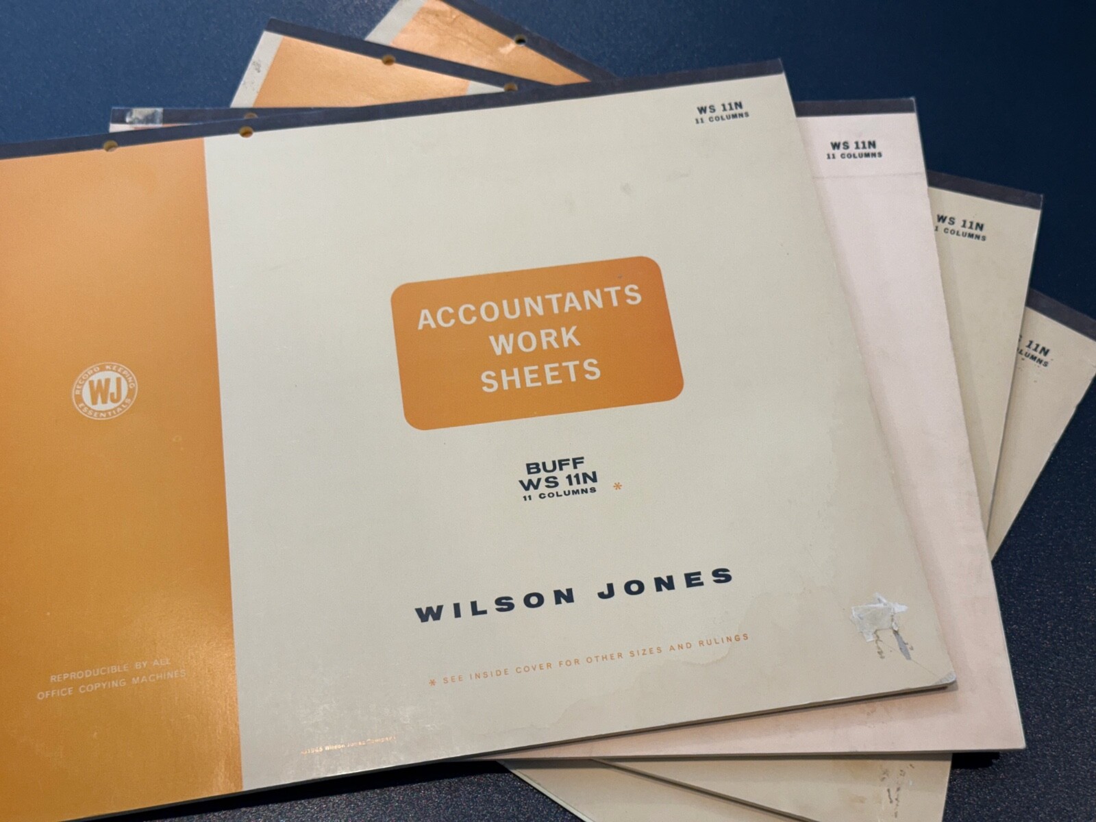 Wilson Jones Columnar Pad Accountants Worksheets, 14″ X 17”, 11 Columns, WS 12N