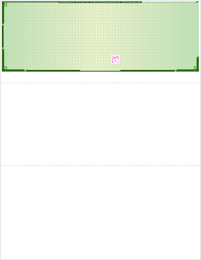 Blank Laser Check – Top Check – High Security – 500 checks – Color Choice