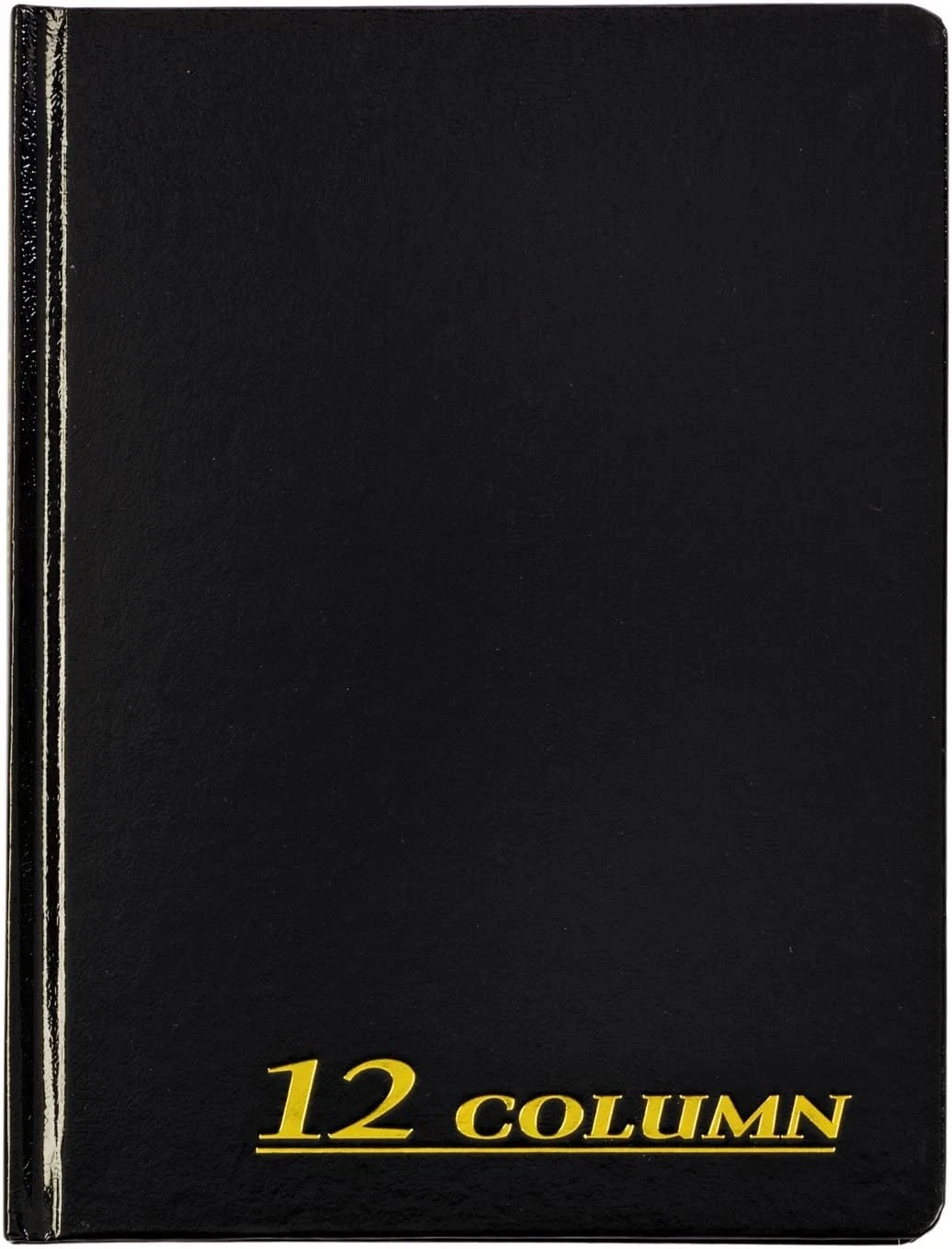 Account Book, 7 X 9.25 Inches, Black, 12-Columns, 80 Pages (ARB8012M)