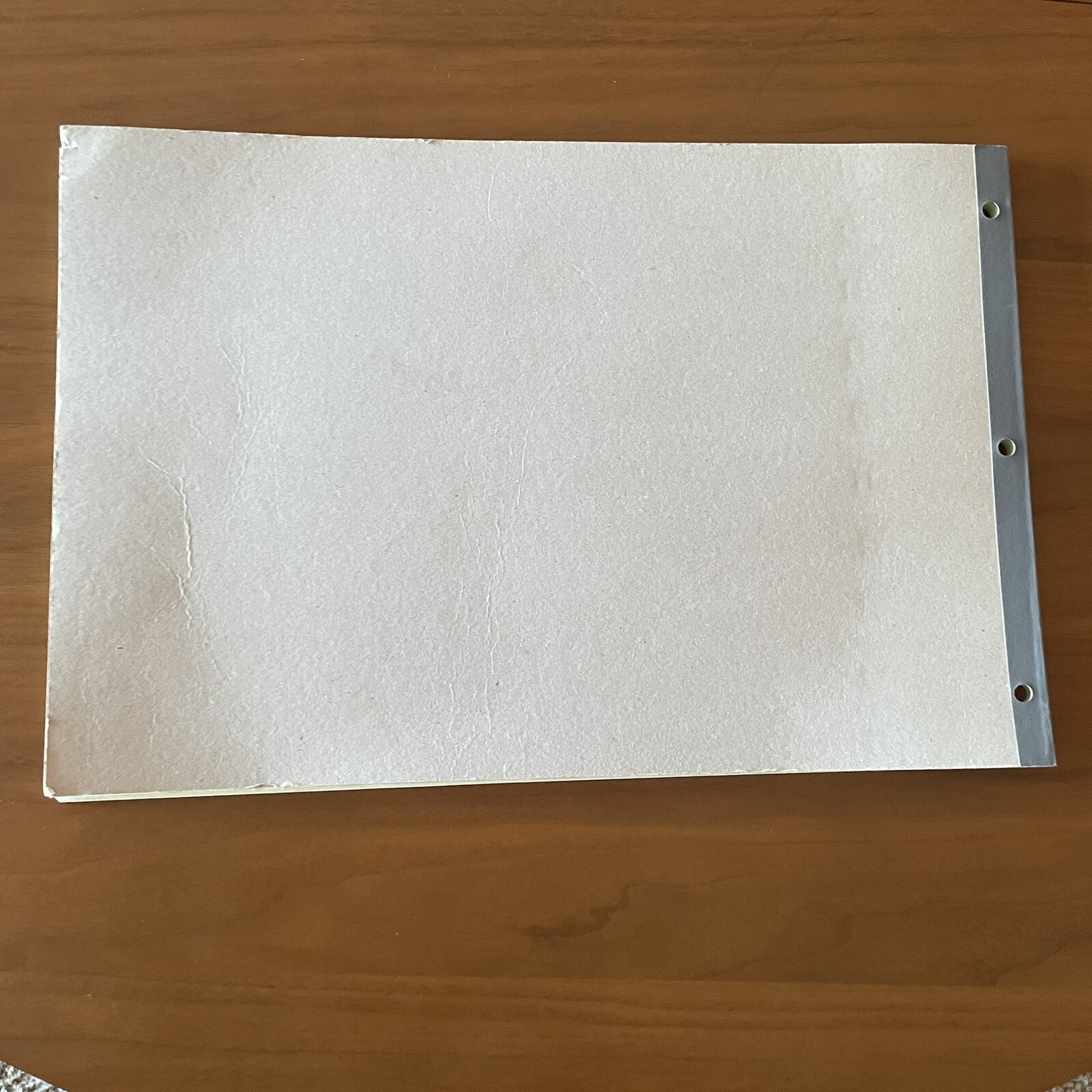 Staples 217893 Columnar Pads 13 Columns 11″X 16 5/16″