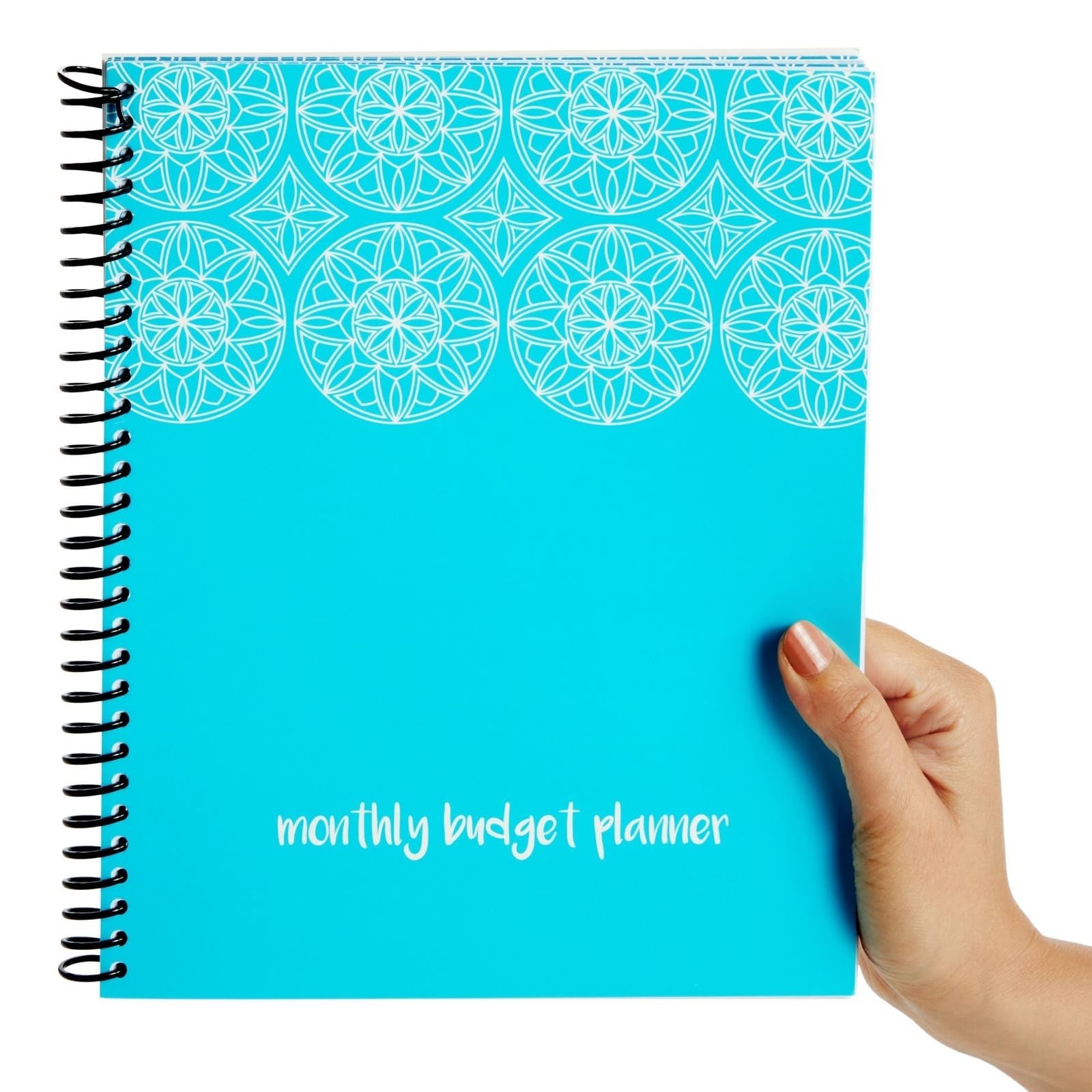 Paper Junkie Budget Planner 2026-8 x 10 In, Blue – Expense 8-x-10-inch,