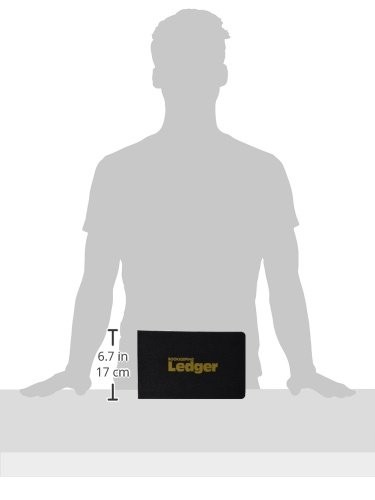 National Rediform 63453 1 4-Ring Ledger Binder 100 Mini-Ledger Sheets And A-Z