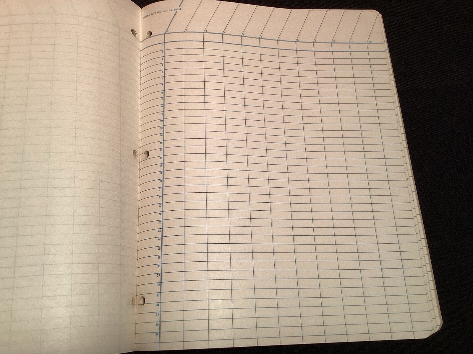 Aico Tally Sheets Columnar Pad 12 Columns 8.5 x 11 White, 50 Sheets, Accounting.