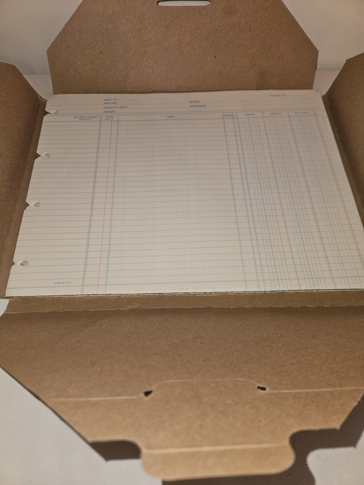 Wilson Jones Balance Ledger Sheets 9 1/4 x 11 7/8 N2D 4 Hole Punched 100 Sheets