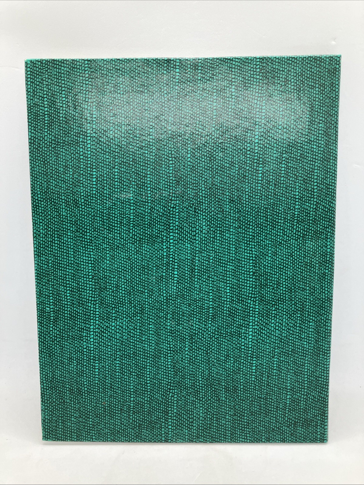Vintage Woolworth Co 4 Column Herald Square Record/Columnar Book-Never Used NOS