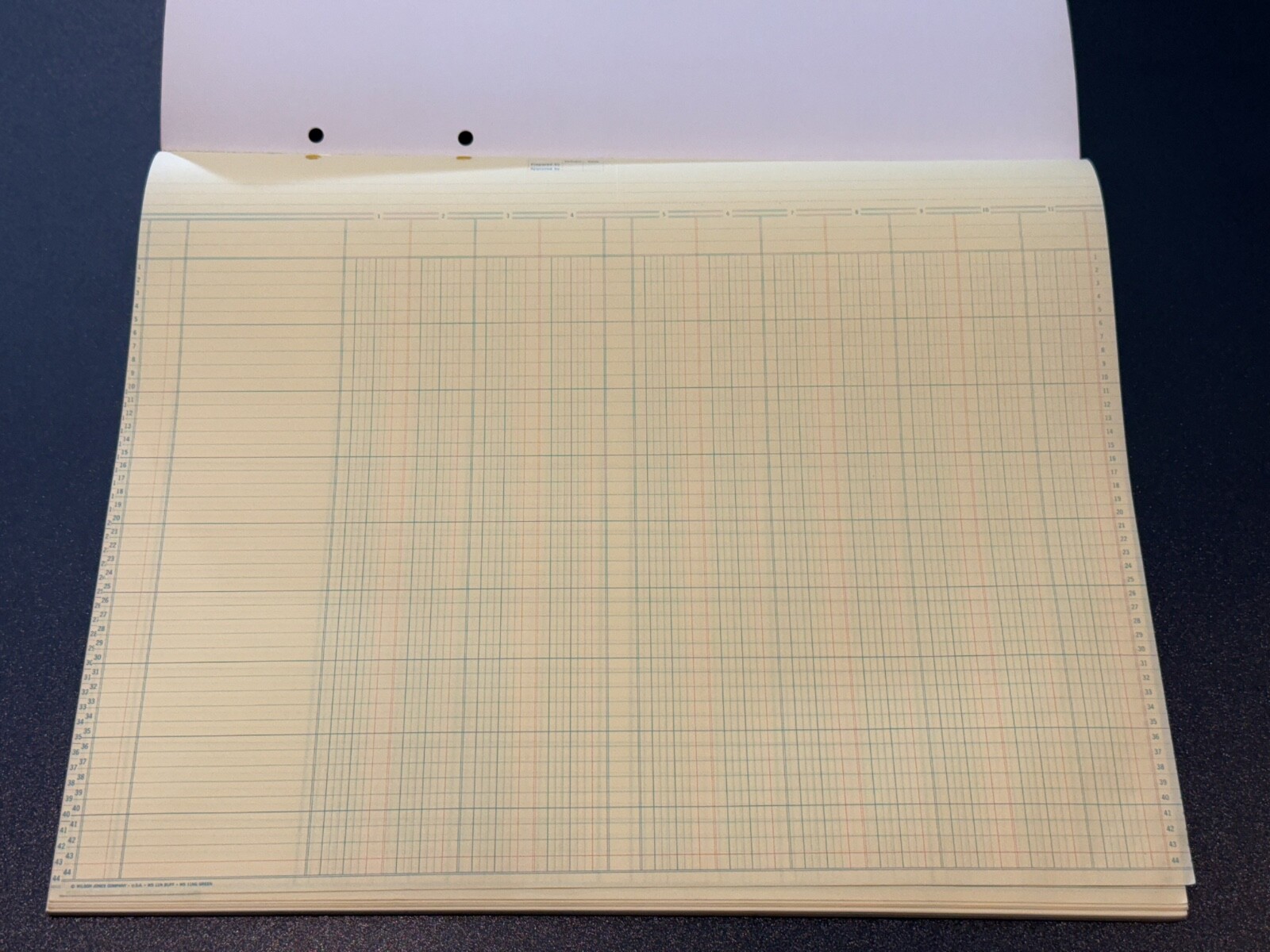 Wilson Jones Columnar Pad Accountants Worksheets, 14″ X 17”, 11 Columns, WS 12N