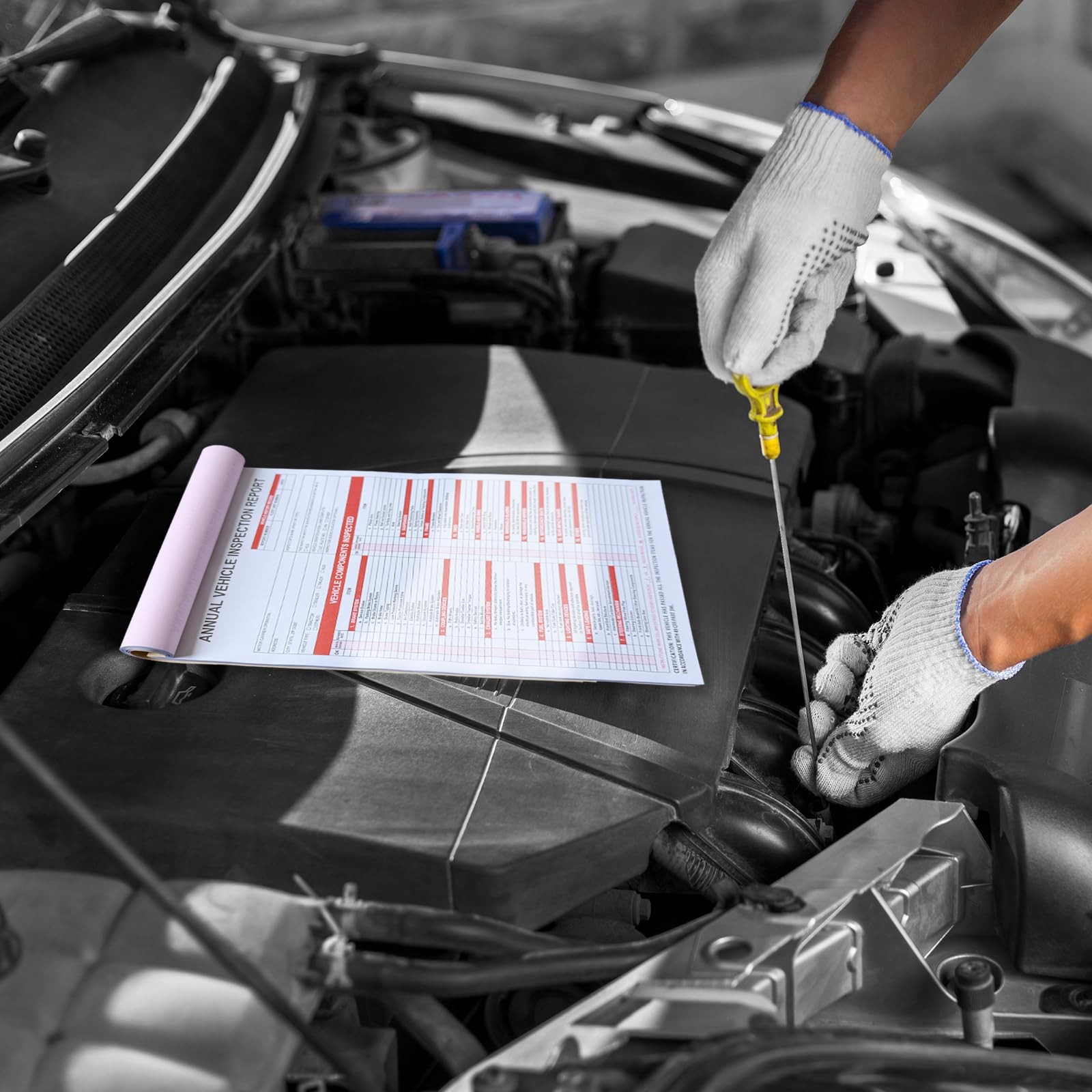 30 Pack Annual Vehicle Inspection Report Forms & 30Pk Red Aluminum FMCSA Adhe…