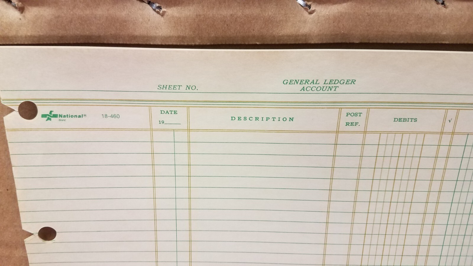 100 Sheets National Brand 18-460 Filler General Ledger Eye Ease