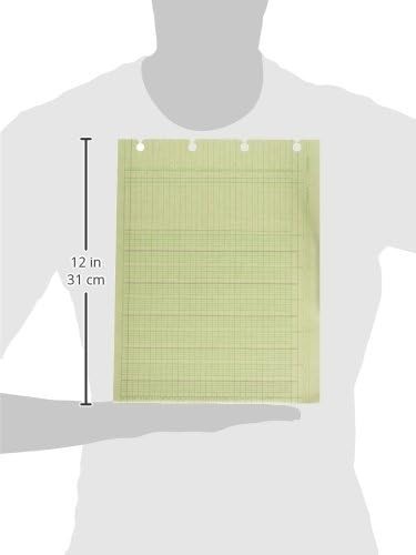 Wilson Jones G1010 Accounting Sheets, 10 Column, 9-1/4 x 11-7/8, Green