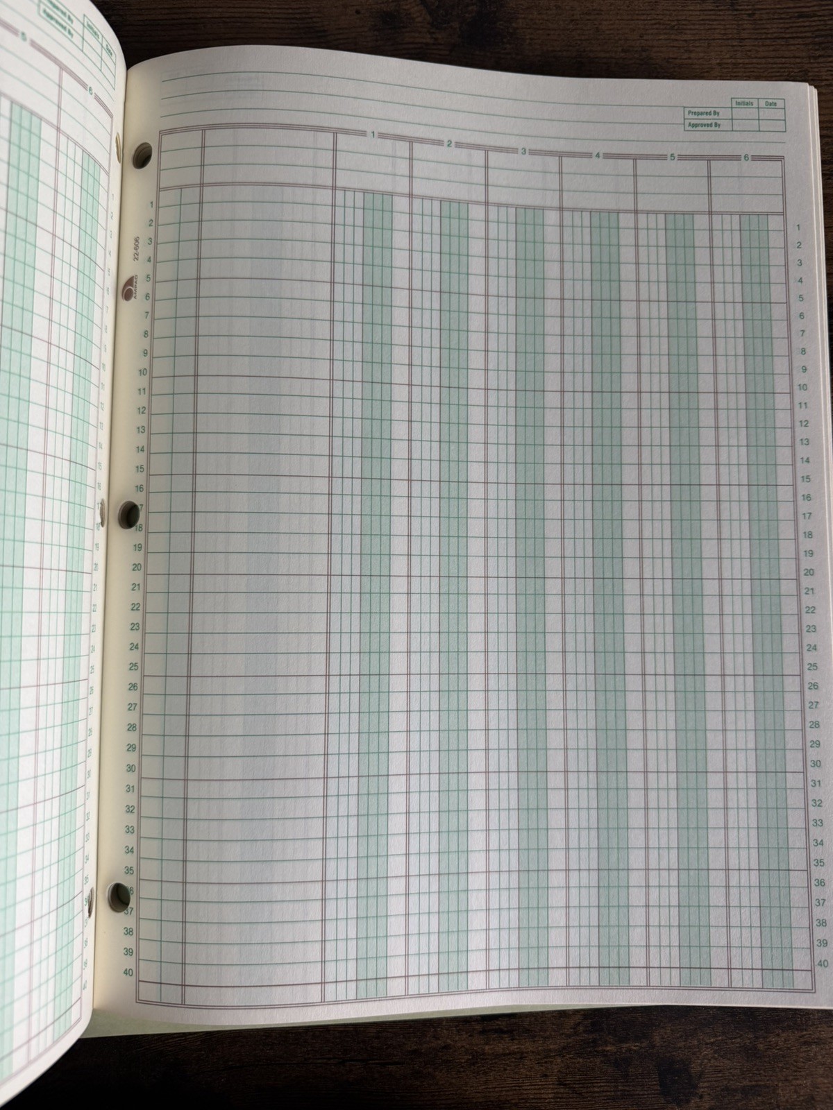 Ampad Columnar Pad 6 Columns 11×8.5 Light Green 50 Sheets 22-606
