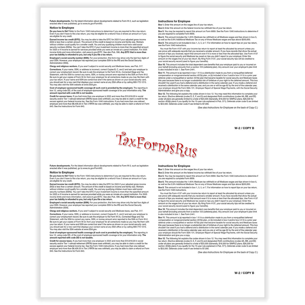 2025 IRS Tax Form W-2 Wage Stmts LASER single sheet set for 2 employees, 6-part
