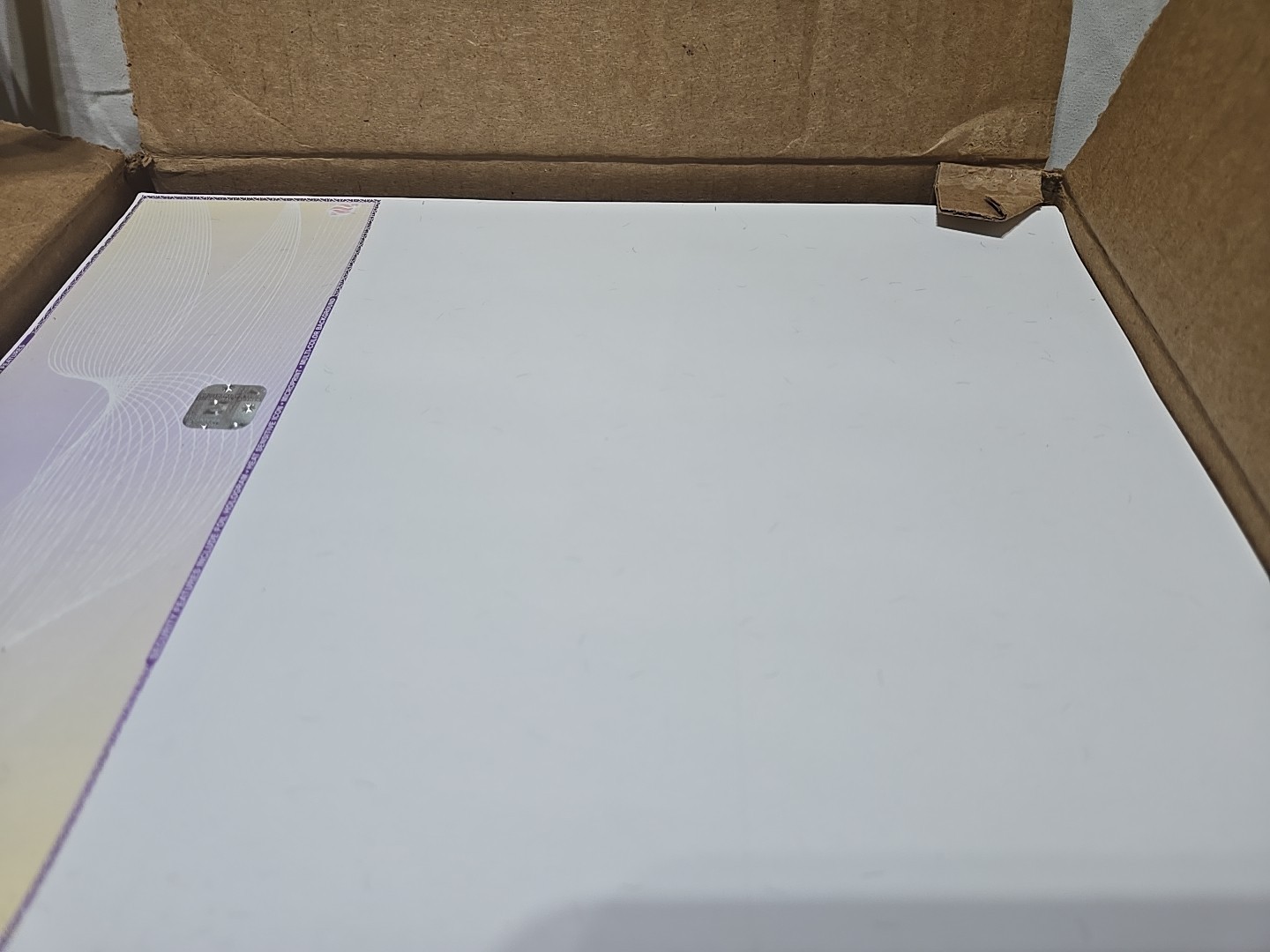 EZ Checks Blank Hologram High Security Business Checks | Check at Top…