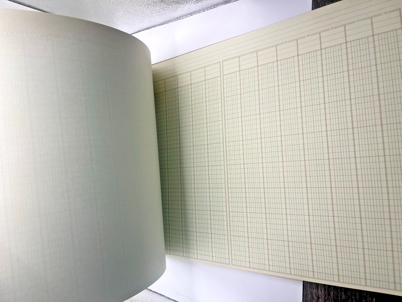 NATIONAL Analysis Pad, 13 Columns, Green Paper, 11 x 16.375, 50 Sheets (45613)