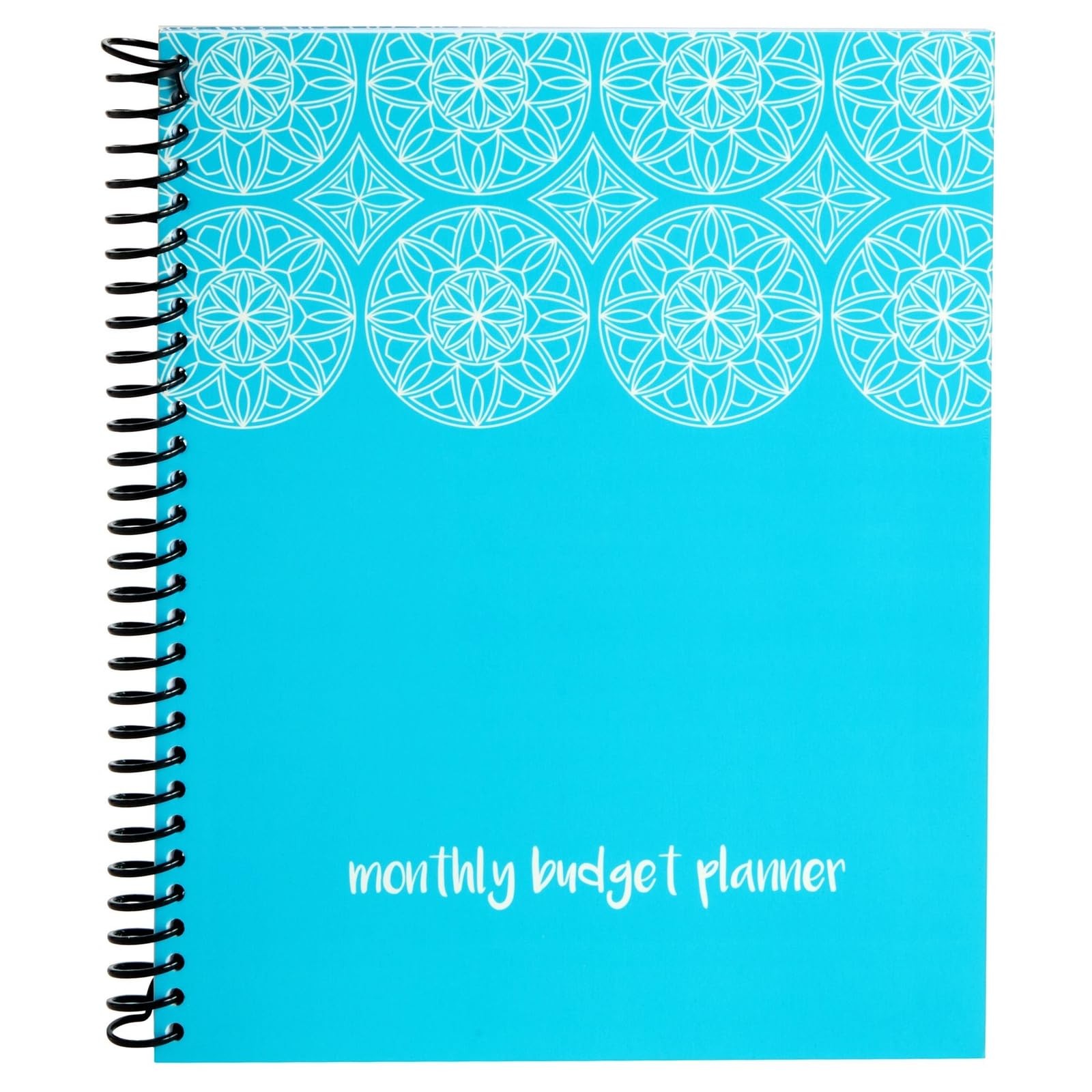 Paper Junkie Budget Planner 2026-8 x 10 In, Blue – Expense 8-x-10-inch,