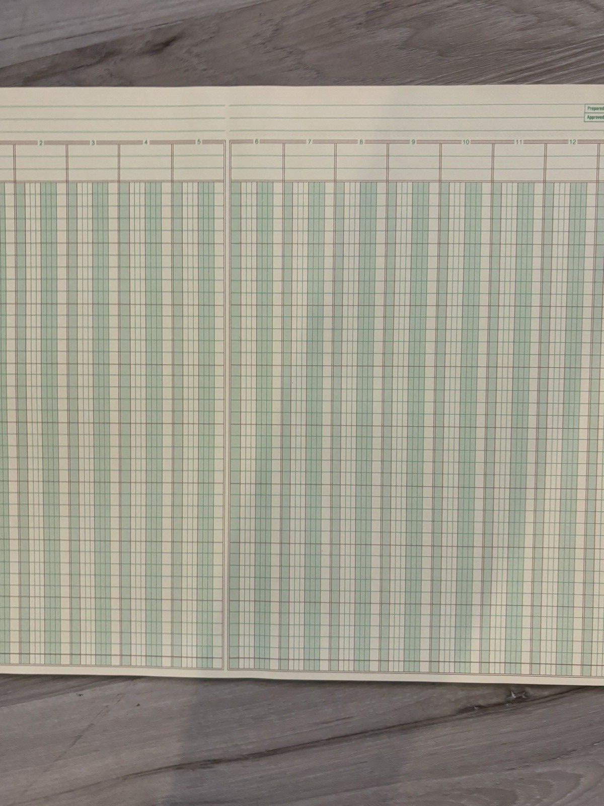 Vintage AMPAD Columnar Pad Column Ruling 13 Columns 16.5″ x 11″