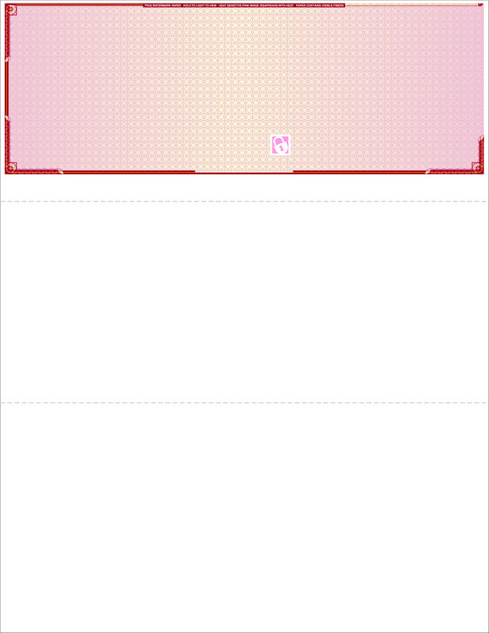 Blank Laser Check – Top Check – High Security – 500 checks – Color Choice