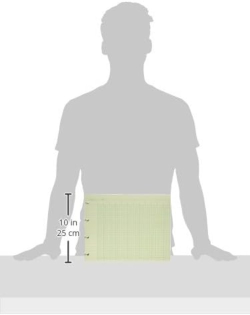 G1020 Accounting Sheets, 20 Column, 9-1/4 x 11-7/8, Green Pack of 100 Loose S…