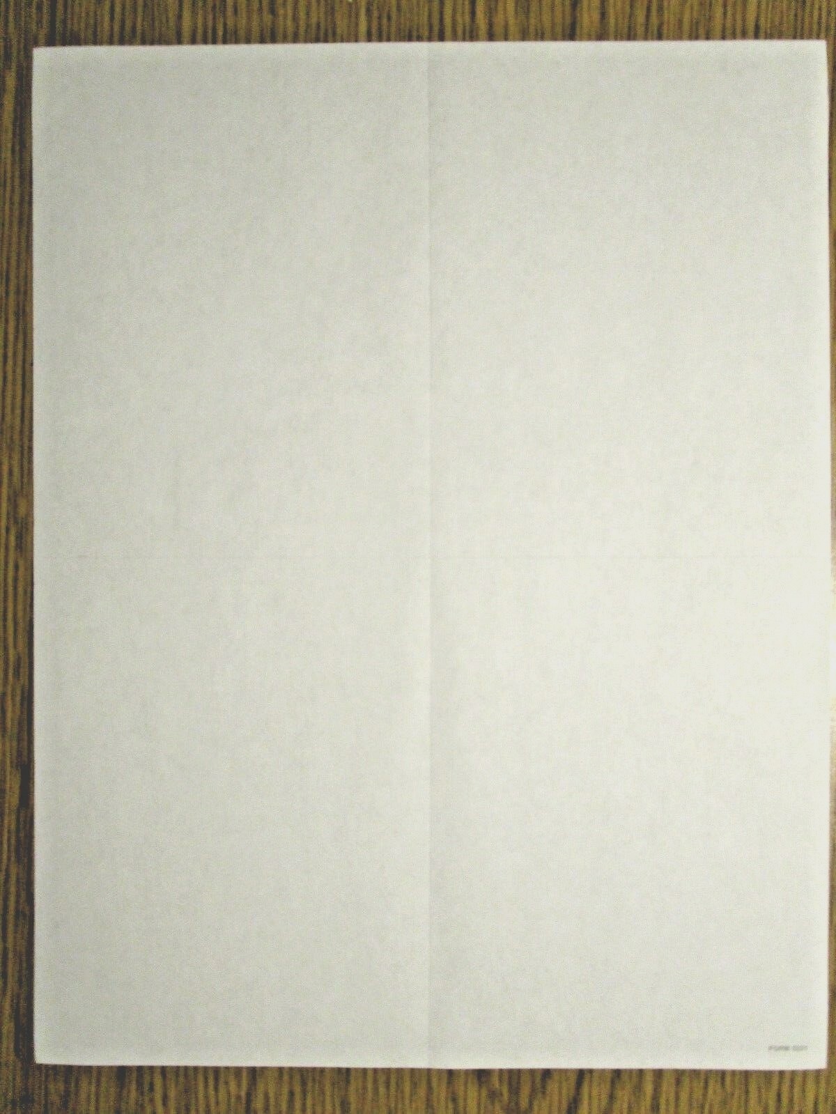 Blank Tax Forms:: 4-up W-2 100 sheets NO backer/instructions #TF5221 L4BLNB