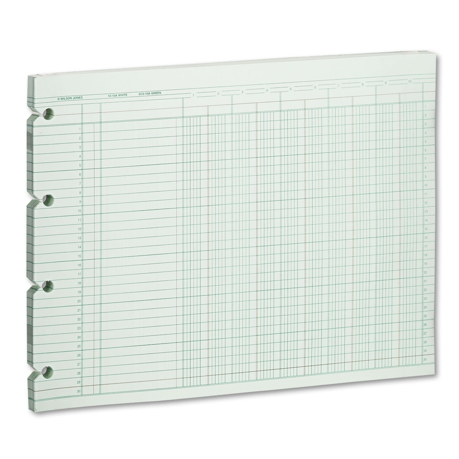 Accounting Sheets, 10 Column, 9-1/4 x 11-7/8, 100 Loose Sheets/Pack, Green