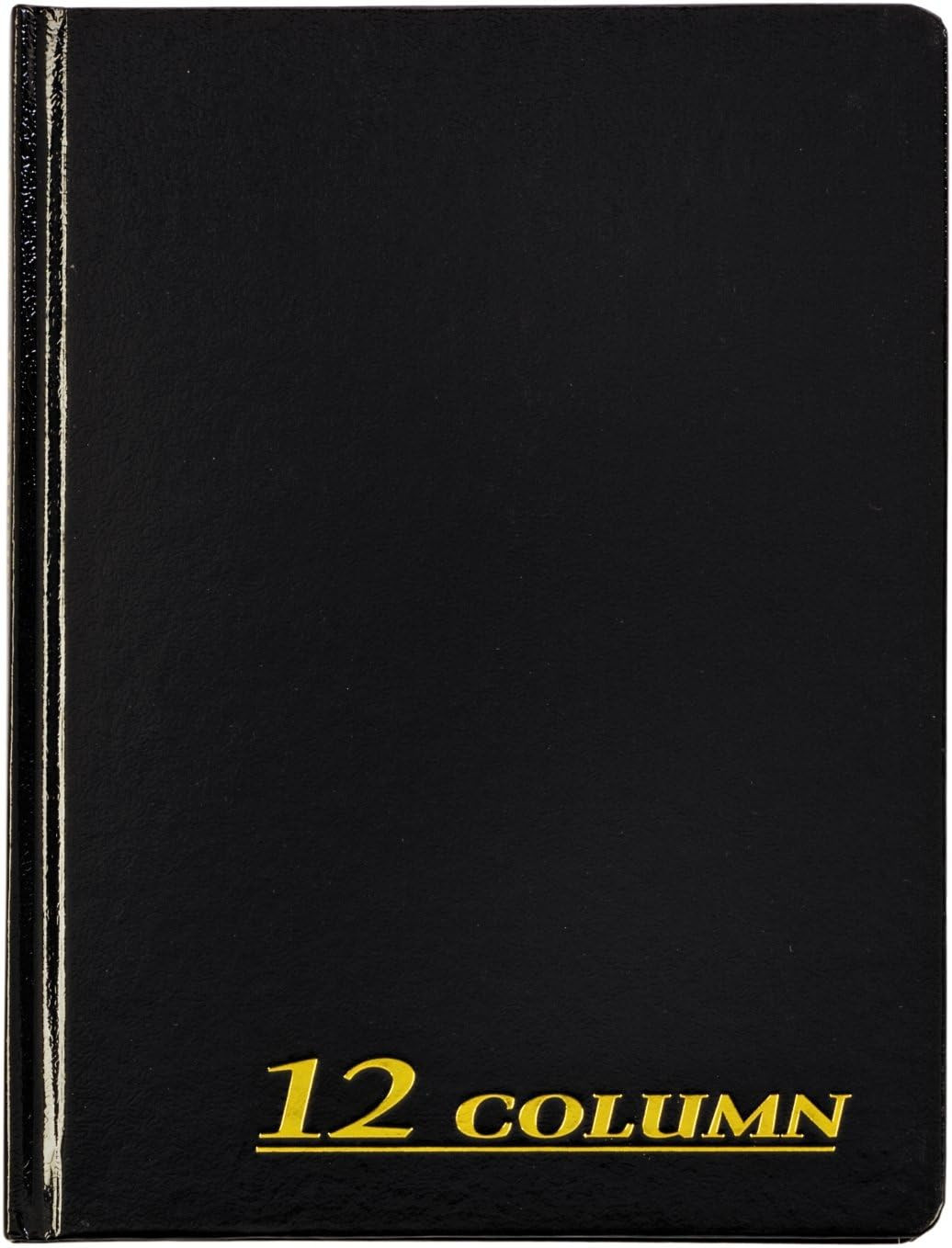 Adams Account Book, 7 X 9.25 Inches, Black, 12-Columns, 80 Pages (ARB8012M)
