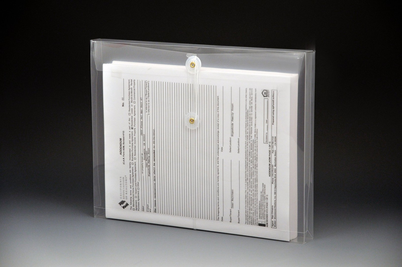 Lion String-A-Long Clear Poly Envelopes with Gusset, Letter,