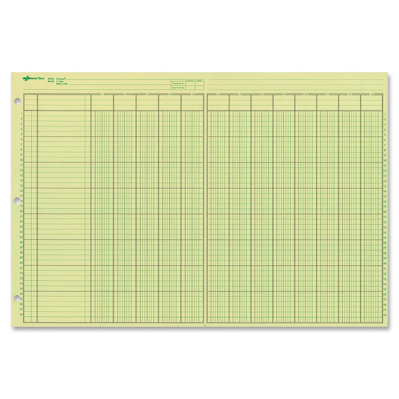 Analysis Pad 13 Columns Green Eye Ease Numbered Side Punched 11×16.375″ 50 Sheet