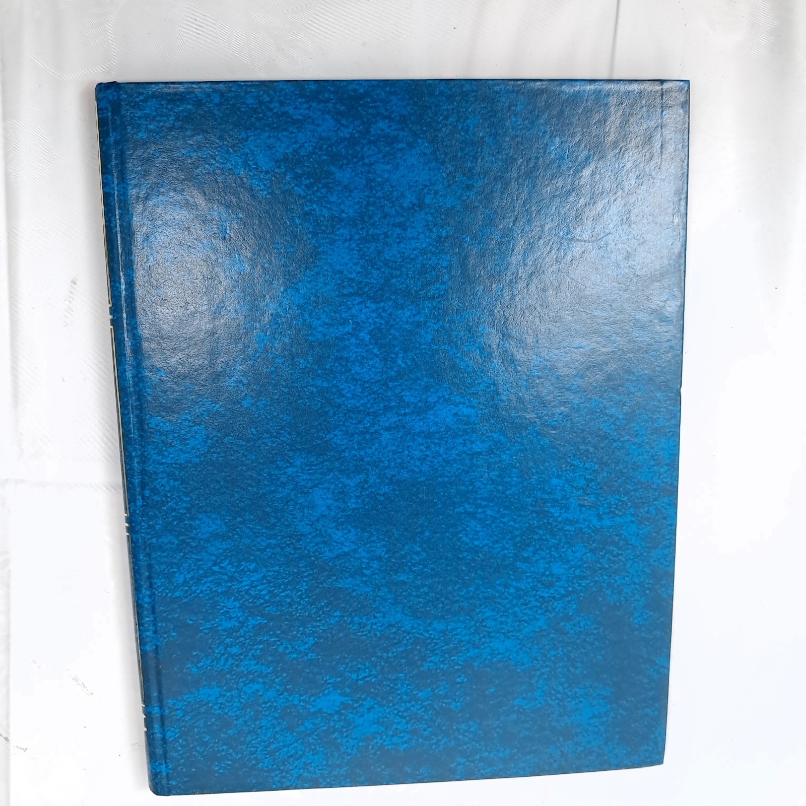 Vintage Stuart Hall Columnar Book 12 column executive blue marble bound notebook