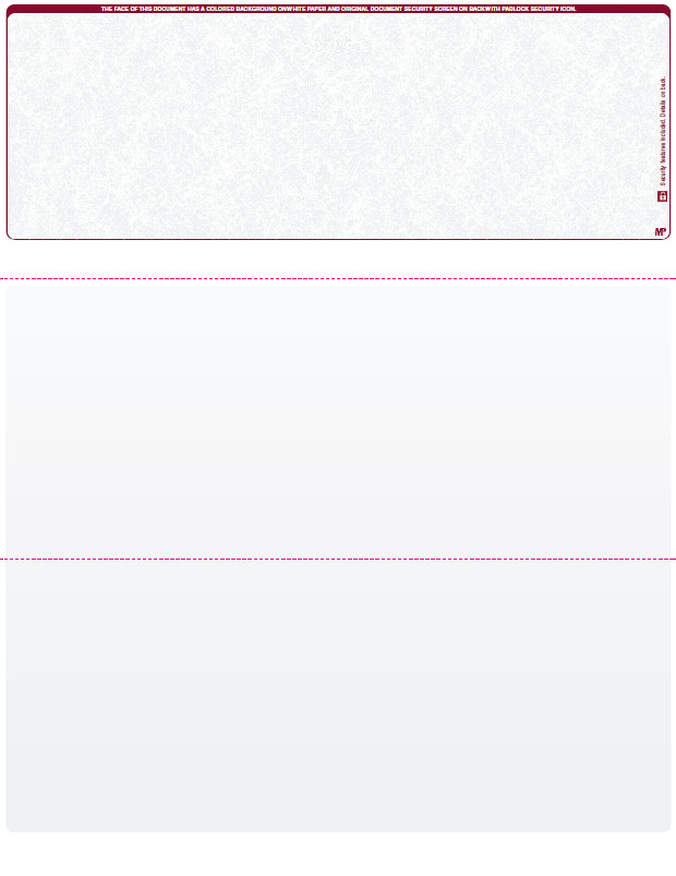 Blank Computer Check paper, Check on top, 24lb paper, Count/500.
