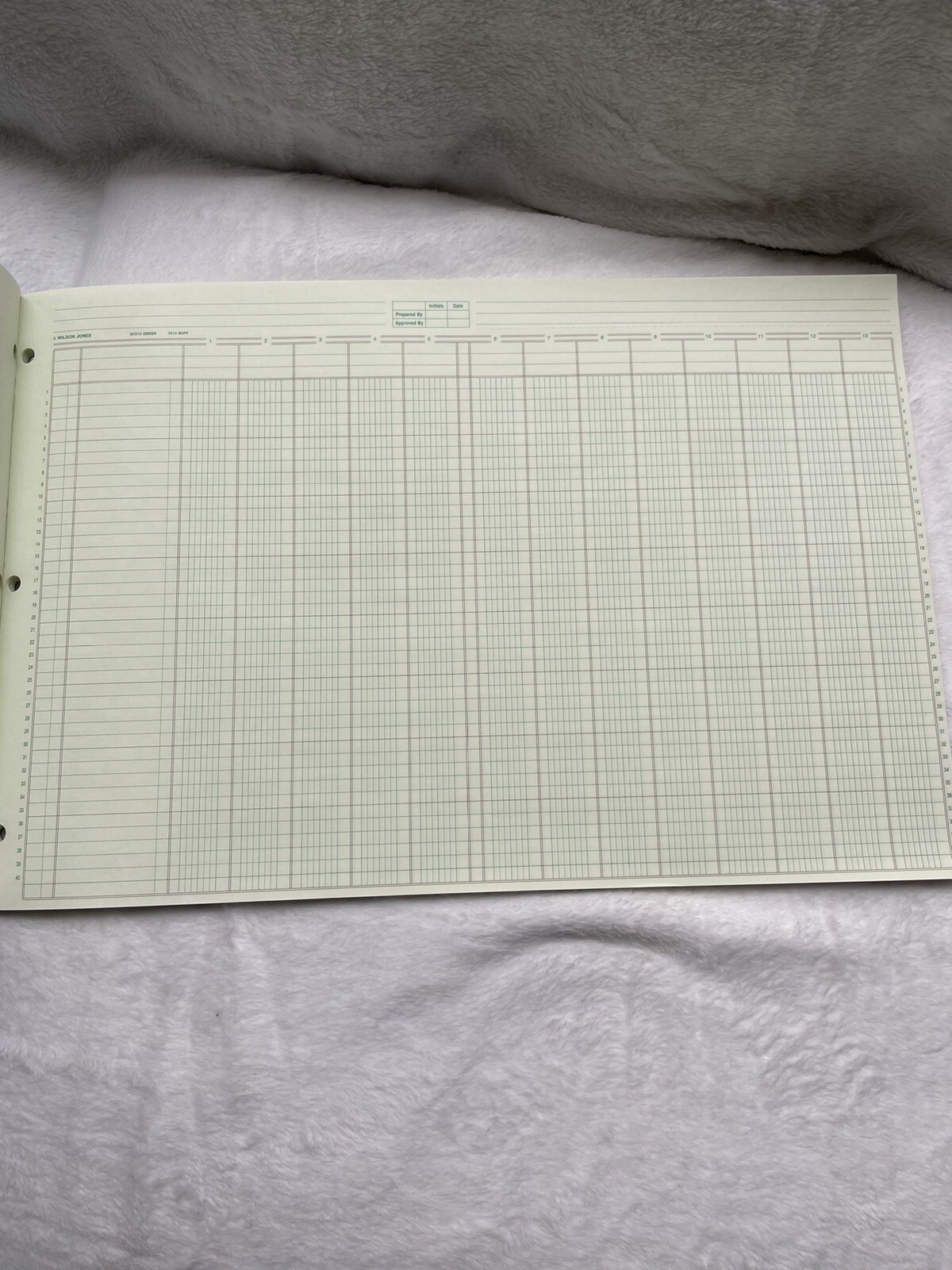 Wilson Jones Columnar Pad, Columnwrite, 11″ X 16 3/8 , 13 Columns, 50 Sheets