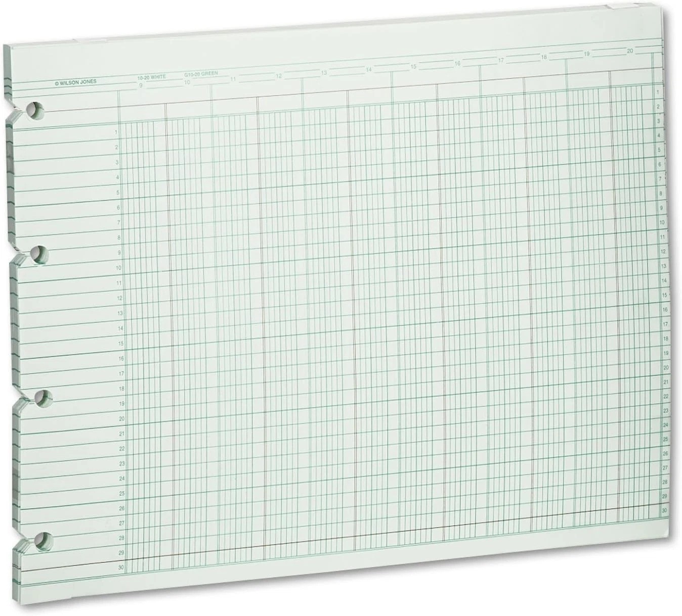 G1020 Accounting Sheets, 20 Column, 9-1/4 x 11-7/8, Green Pack of 100 Loose S…