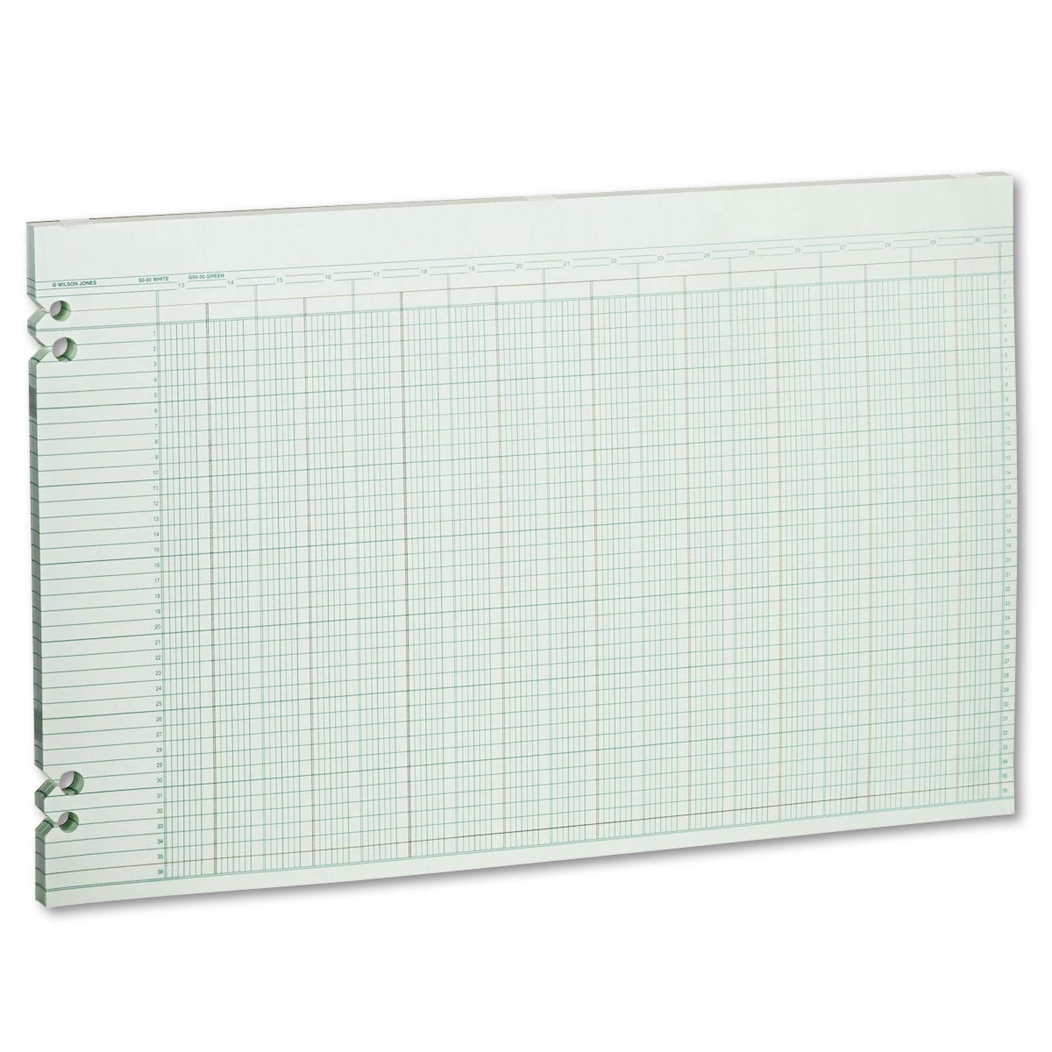 G5030 Accounting Sheets, 30 Columns, 11 x 17, Green (Pack of 100 Loose Sheets)