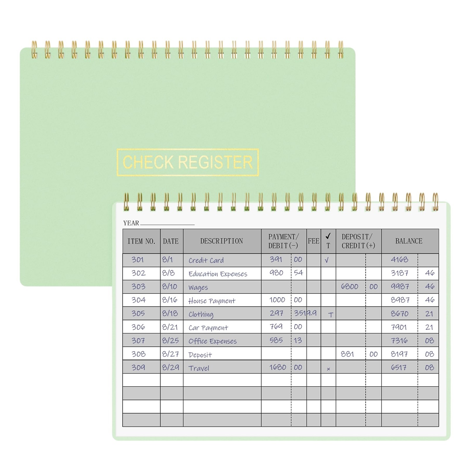 Check Register Ledger for Personal Finances, Expenses & Payments Tracking 8.4 x