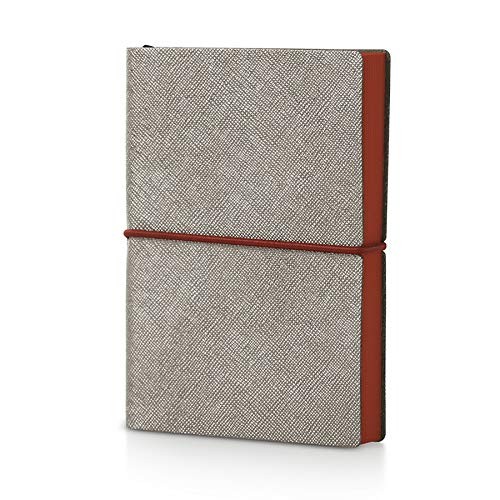 Chiak 2019 Plus Metal Daily Diary, Silver (Saffiano Metallic Cover)