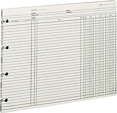 Ledger Paper, Balance Ledger, 9-1/4″ x 11-7/8″, Green, 100 Sheets (GN2D)