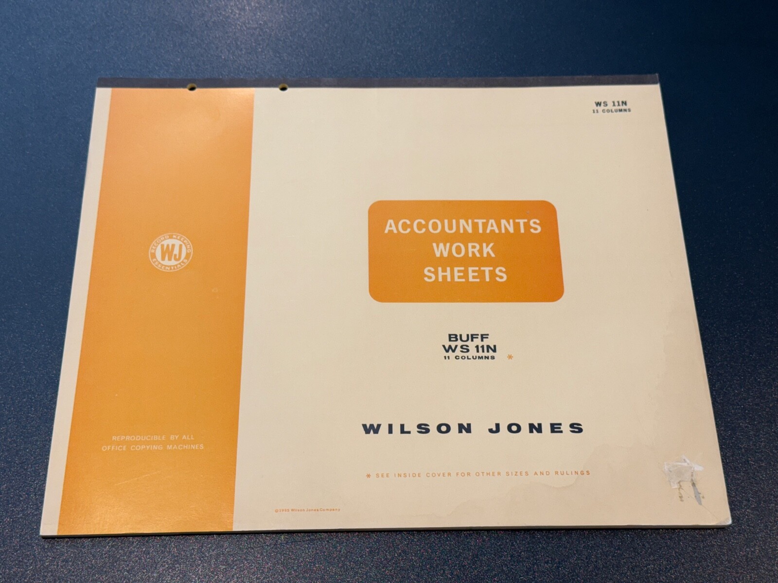 Wilson Jones Columnar Pad Accountants Worksheets, 14″ X 17”, 11 Columns, WS 12N